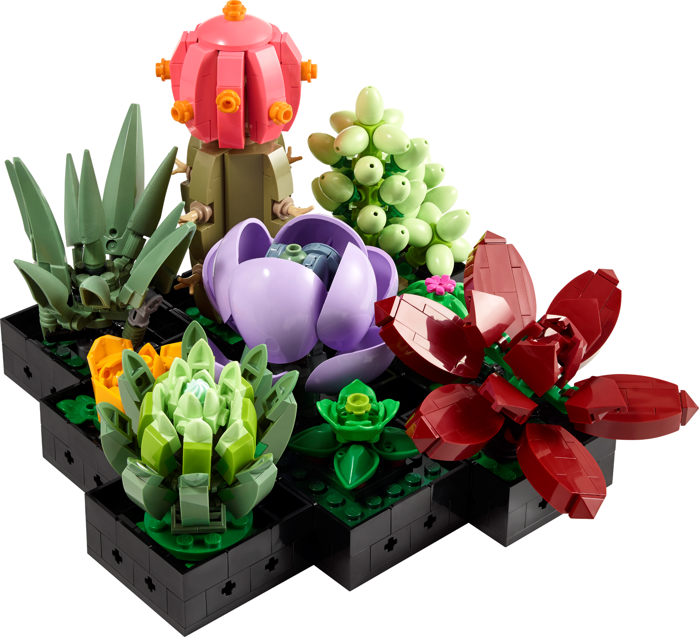 LEGO Suculentas (10309)