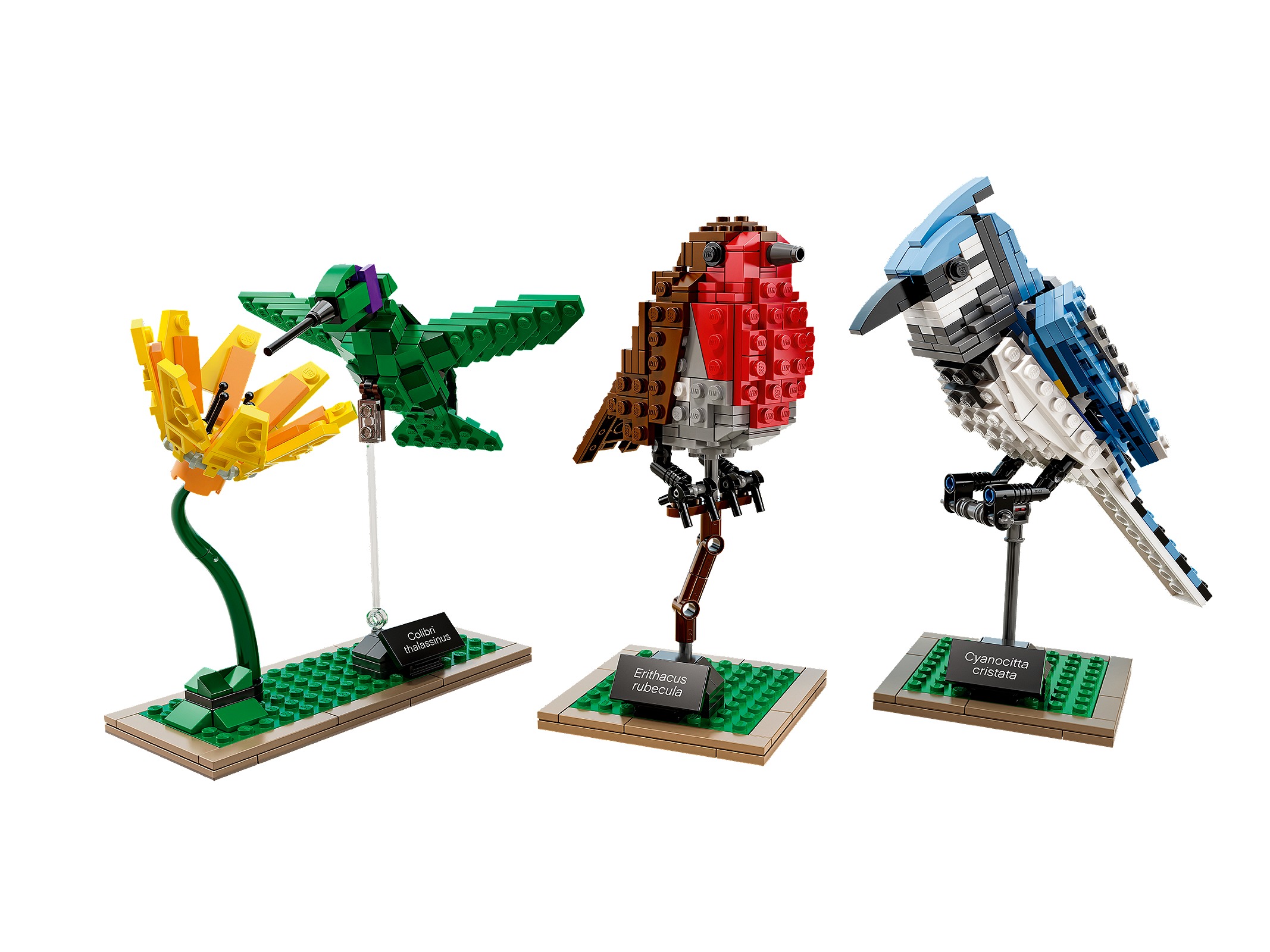 LEGO Pájaros (21301)