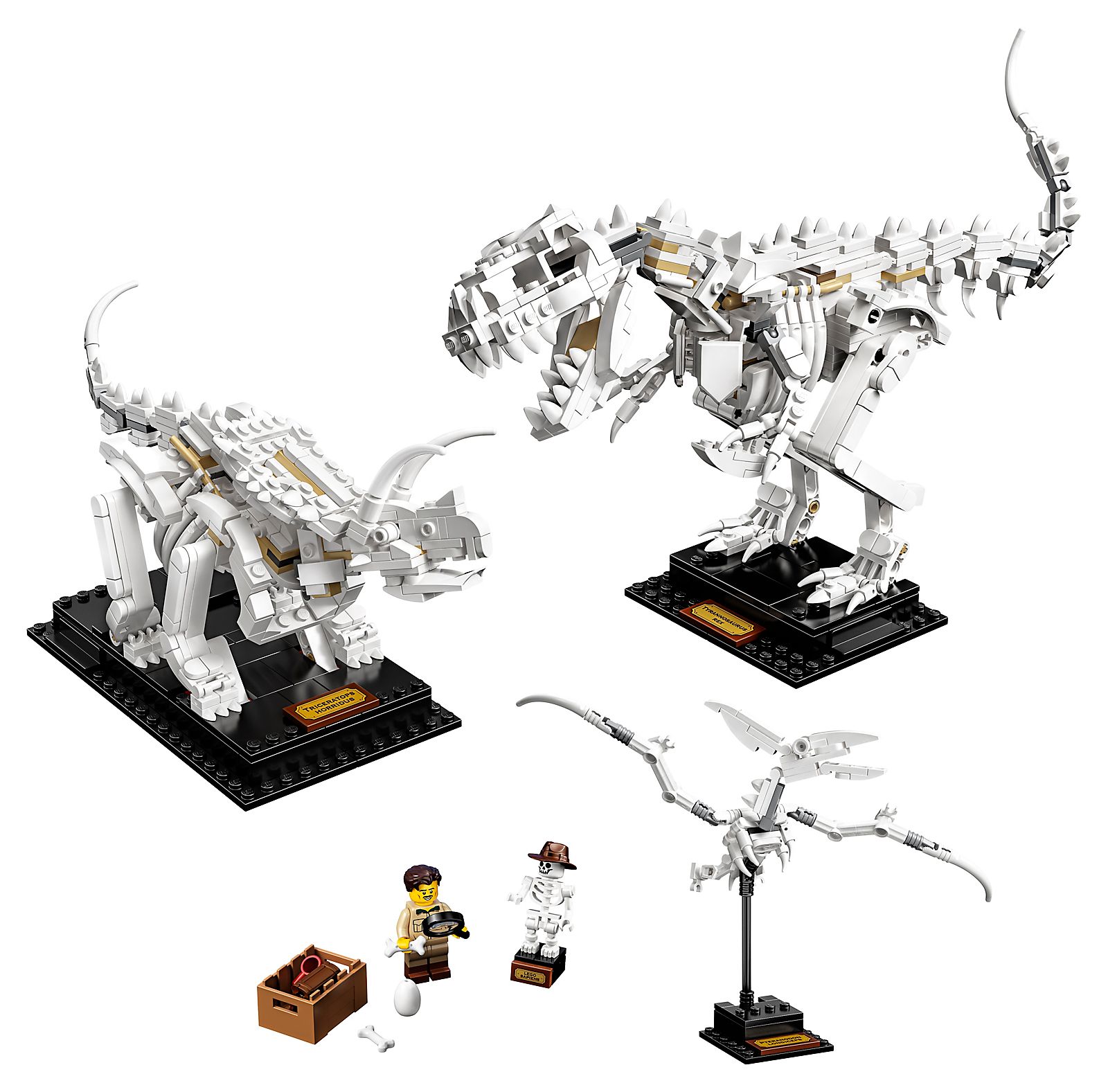 LEGO Fósiles de Dinosaurio (21320)