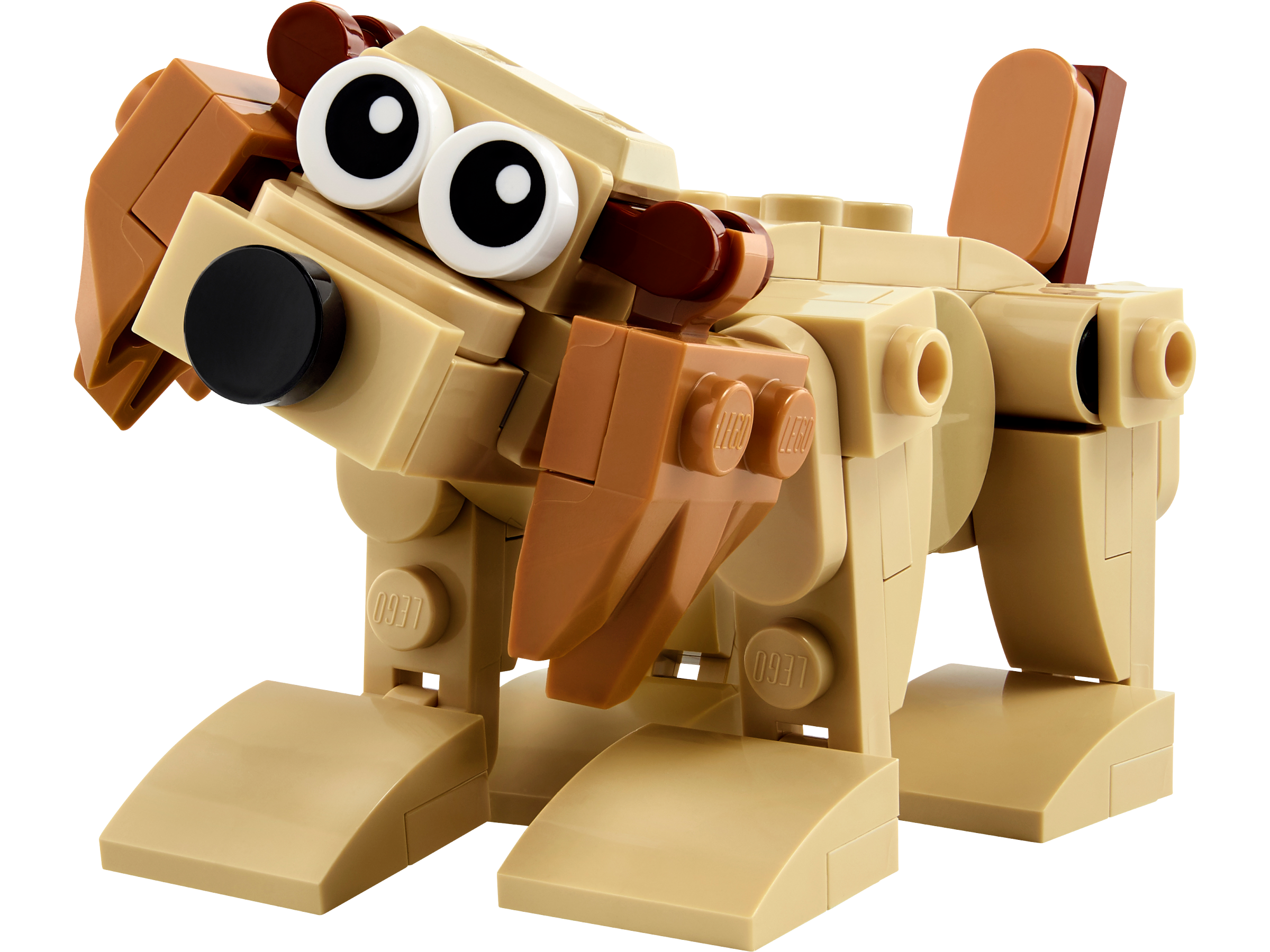 LEGO Animales para Regalar & Parque de Juegos en el Bosque de Aurora (30666)
