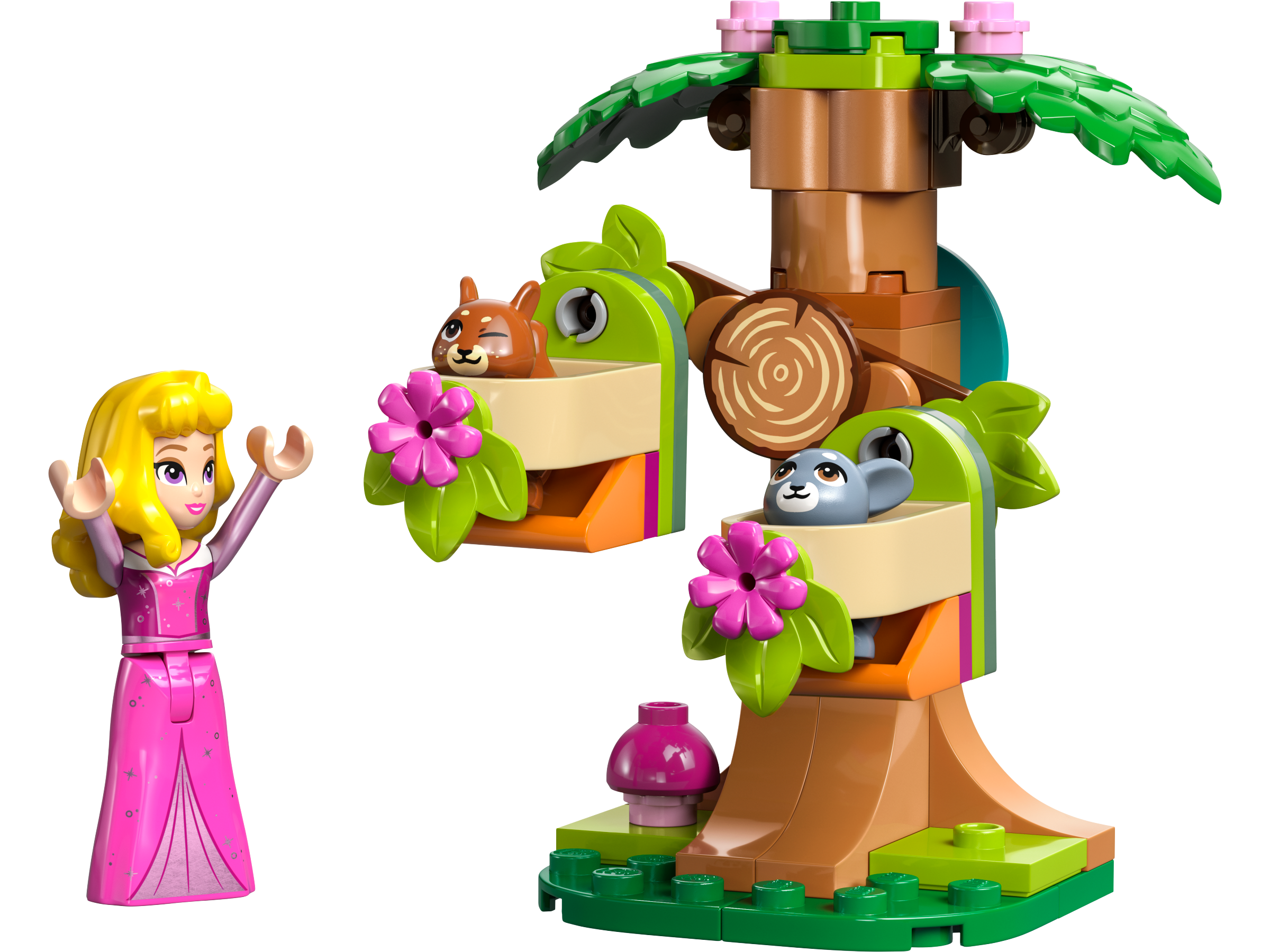 LEGO Parque de Juegos en el Bosque de Aurora & Animales para Regalar (30671)