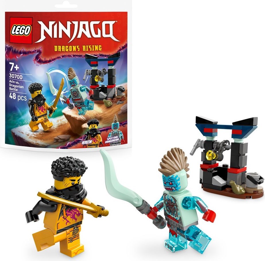 LEGO Batalla de Arin vs. Dragónido (30700)