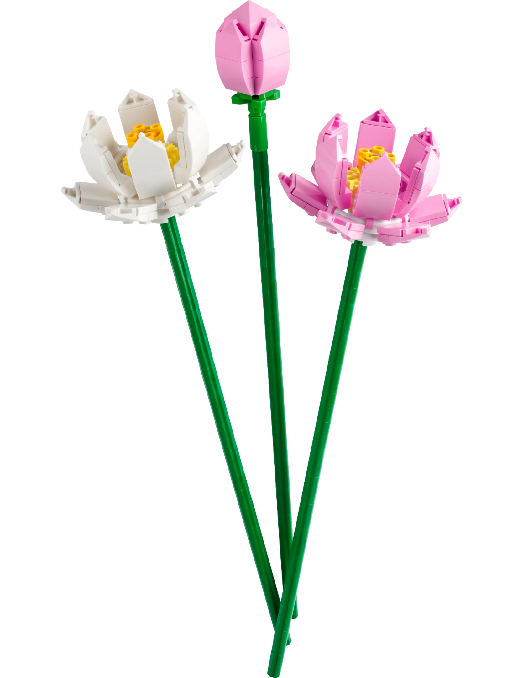 LEGO Flores de Loto (40647)