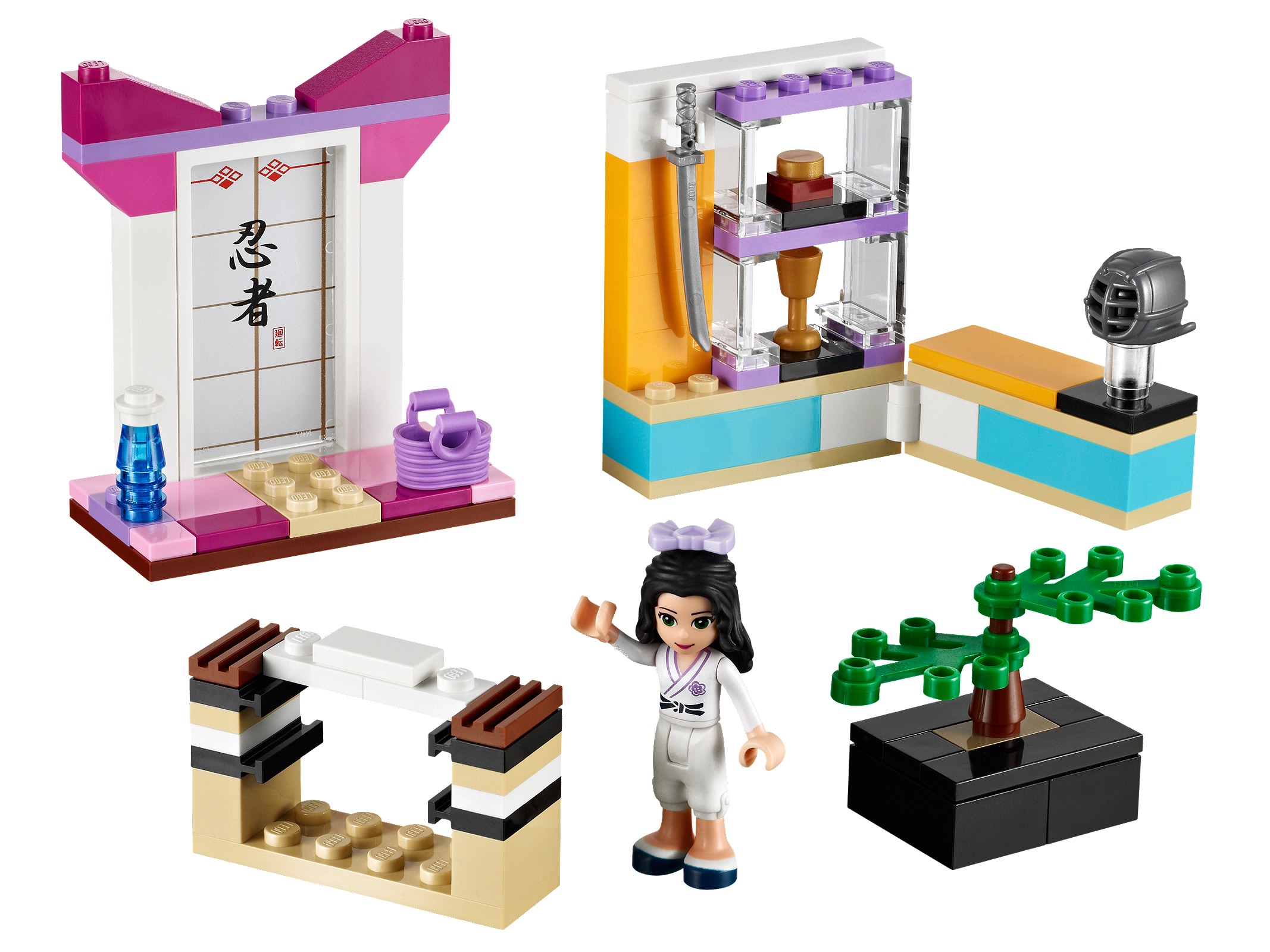 LEGO La Clase de Karate de Emma (41002)