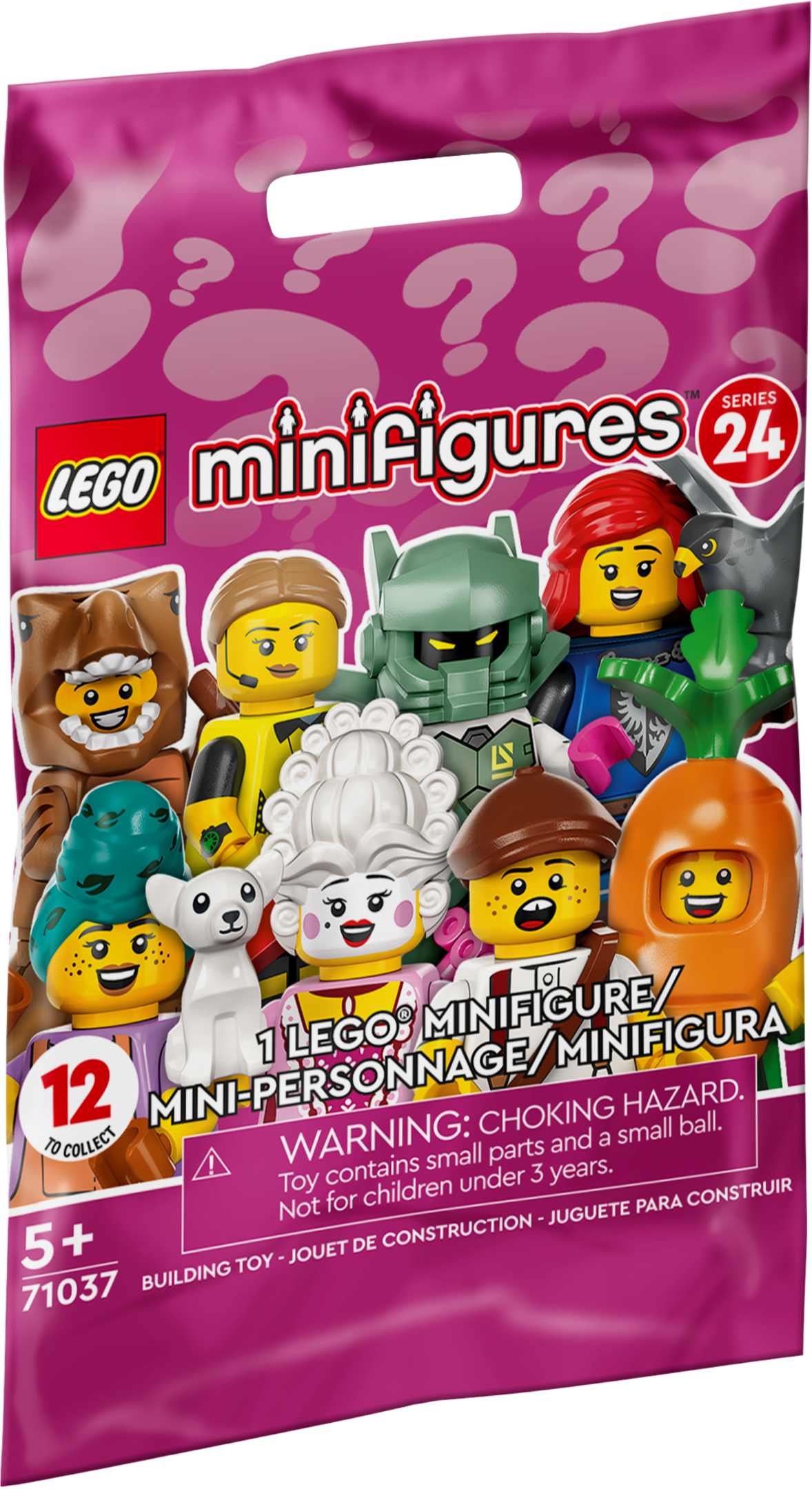 LEGO Series 24 - Random Bag (71037-0)