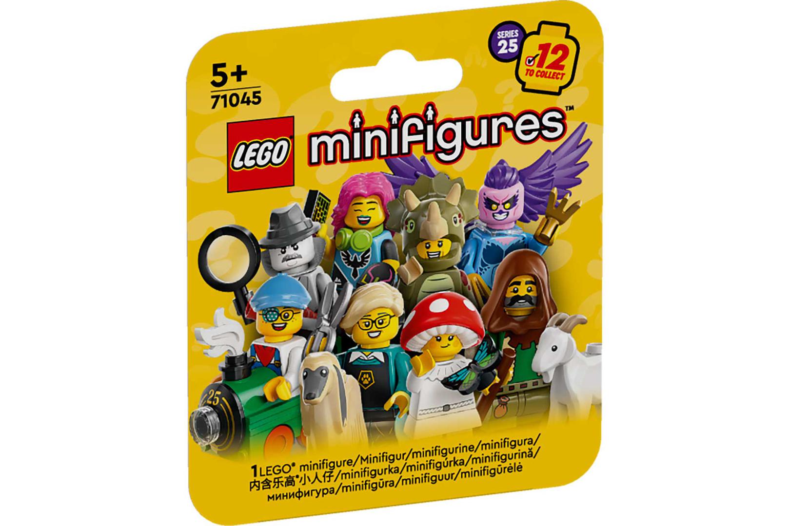 LEGO Series 25 - Random Box (71045-0)