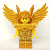Flying Warrior