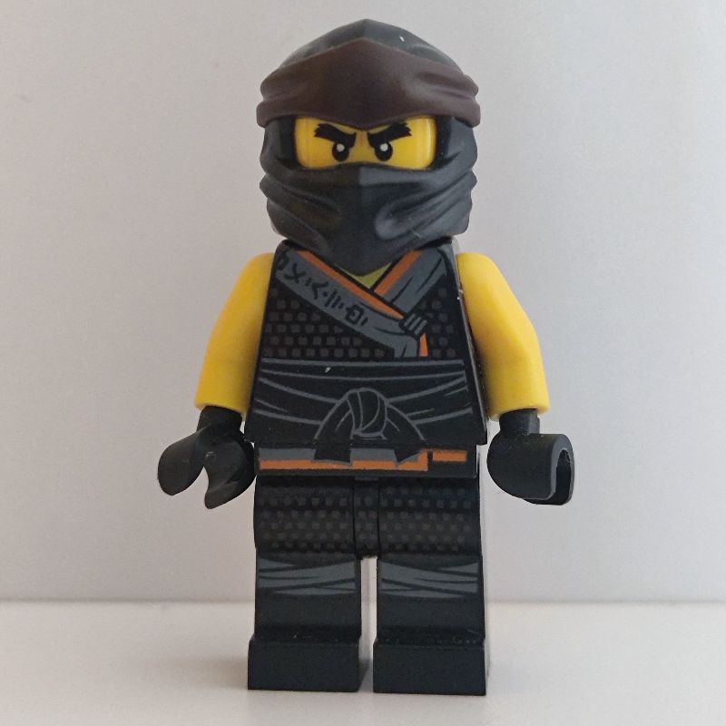 LEGO Cole in Sons of Garmadon Robe (Legacy) (fig-002068)