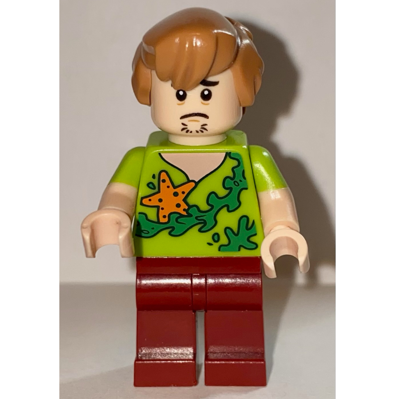 LEGO Shaggy Rogers with Starfish and Seaweed on Shirt (fig-003260)