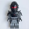 The Grand Inquisitor