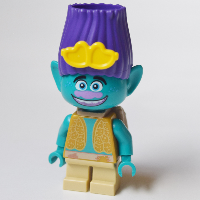 LEGO Trolls - Branch with Yellow Sunglasses (fig-004707)