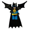 Nightwing with Long Cape and Wings