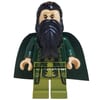 The Mandarin with Dark Green Cape