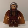 Elrond - Dark Red Cape