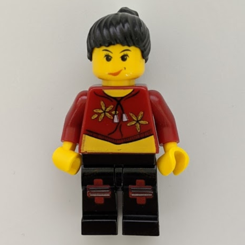 LEGO Sky Lane (fig-006430)