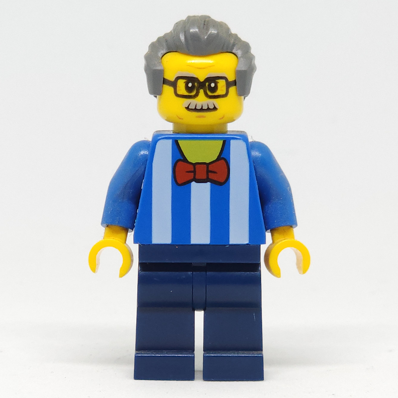 LEGO Blue Torso, Dark Blue Legs, Dark BLuish Grey Hair - Without Back Print (fig-009163)