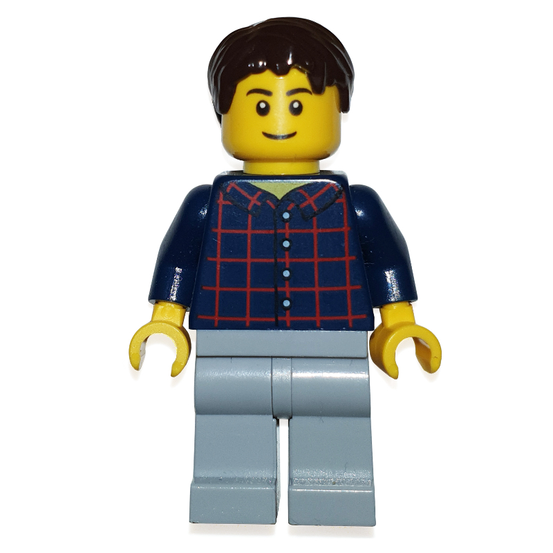 LEGO Man, Dark Blue Plaid Shirt, Light Bluish Gray Legs, Dark Brown Hair (fig-009549)