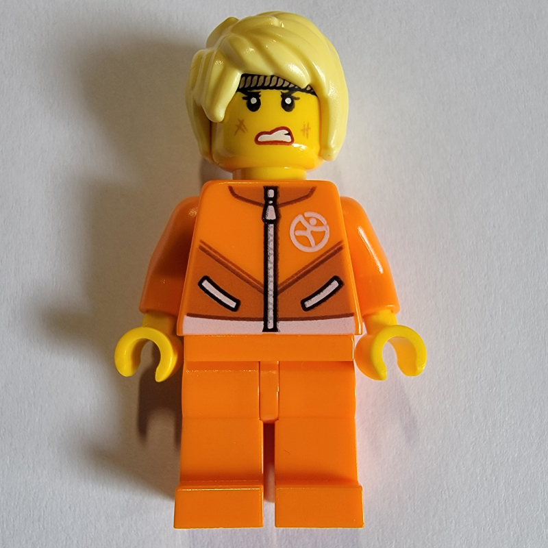 LEGO Play Day Physical (fig-010209)
