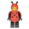 Ladybug Lady