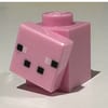 Pig - Micro