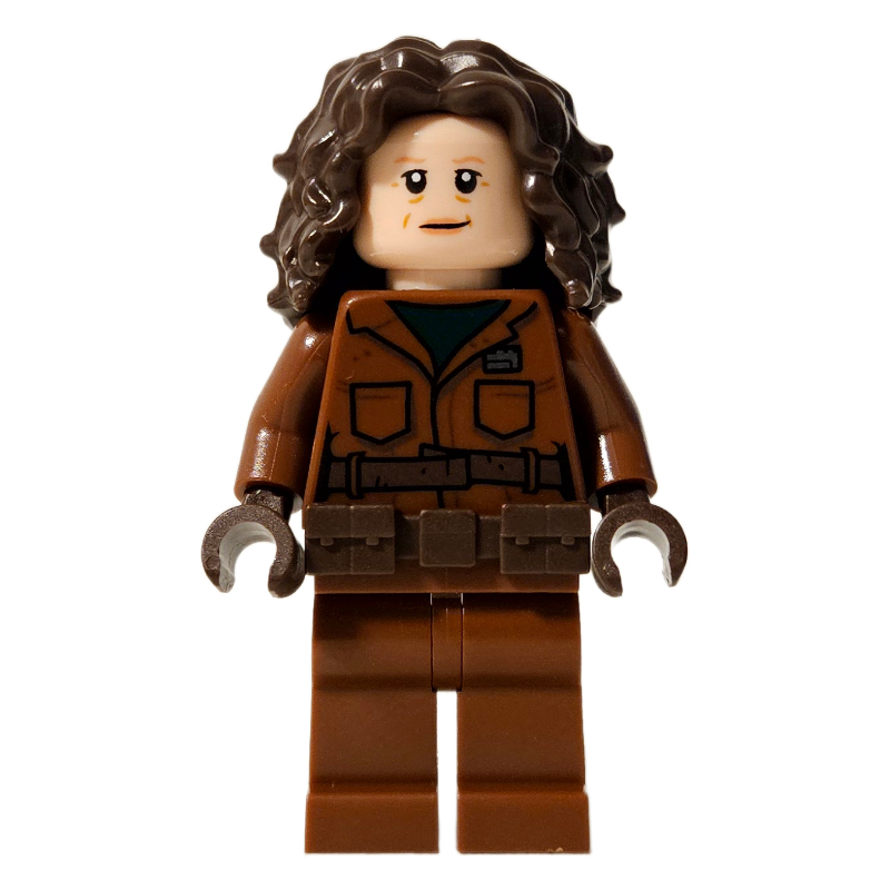LEGO Peli Motto (fig-012675)