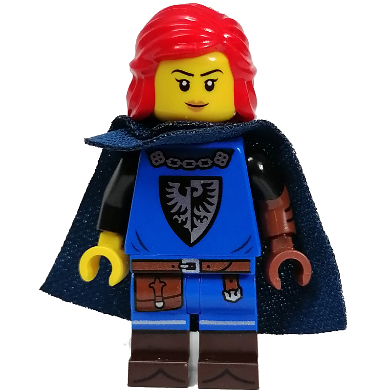 LEGO Falconer - Minifigure (fig-013453)
