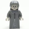 The Grey Lady
