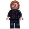 Ron Weasley, Polyjuice Dragomir Despard Disguise