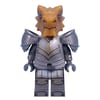 Dragonborn Paladin