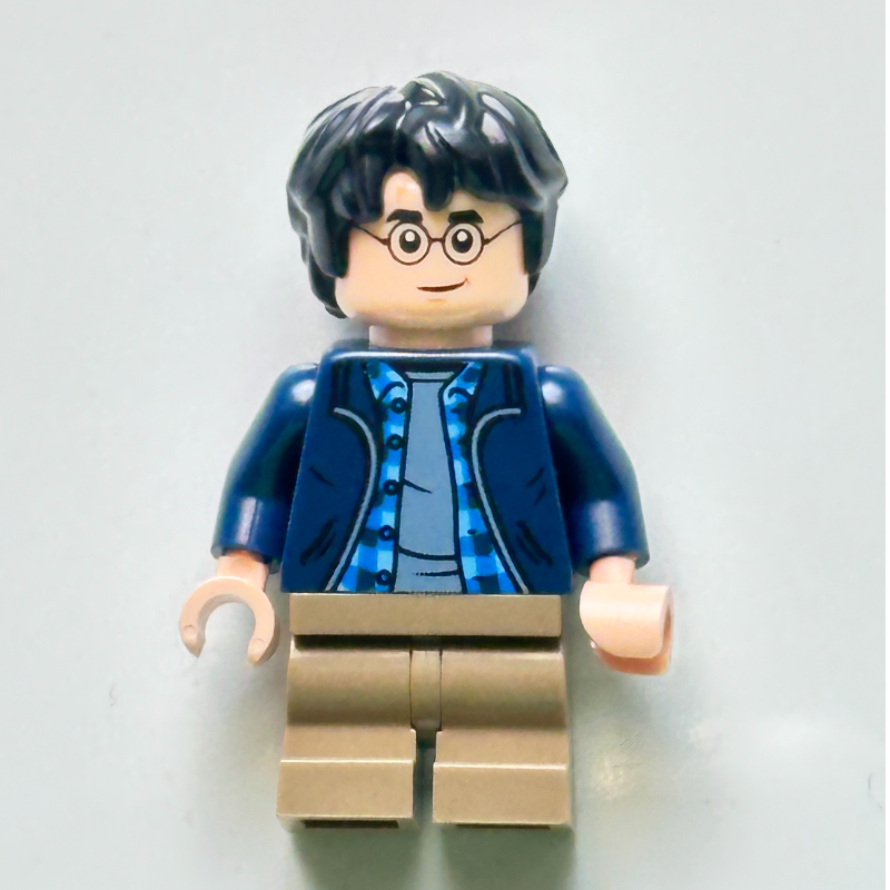 LEGO Harry Potter (fig-016076)